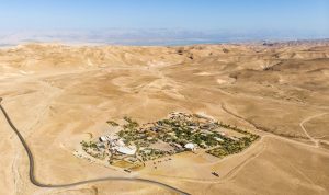 כפר הנוקדים